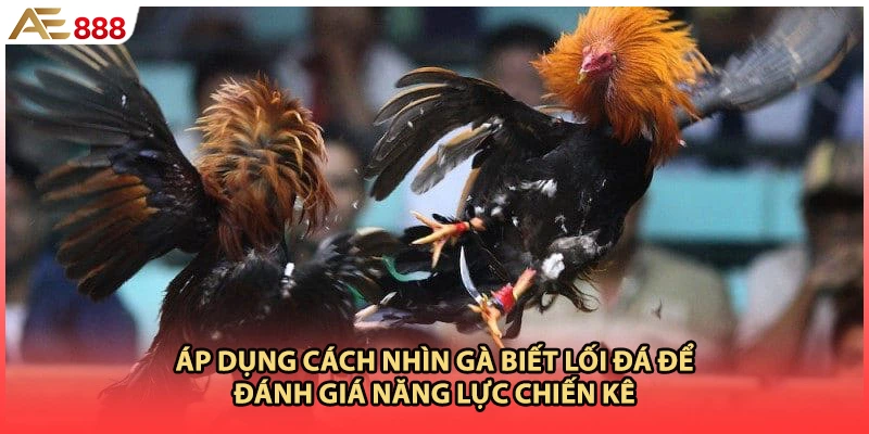 Áp dụng cách nhìn gà biết lối đá để đánh giá năng lực chiến kê