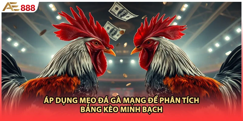 Áp dụng mẹo đá gà mạng để phân tích bảng kèo minh bạch