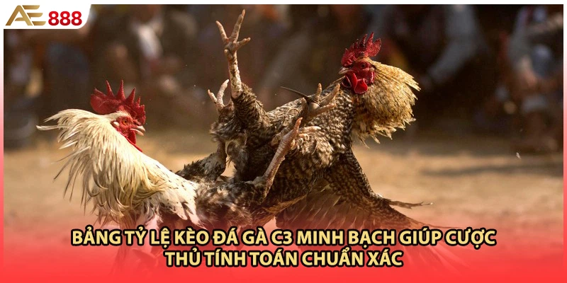 Bảng tỷ lệ kèo đá gà c3 minh bạch giúp cược thủ tính toán chuẩn xác