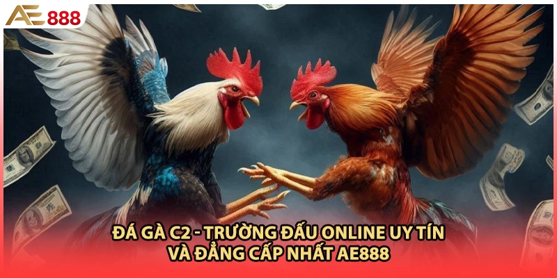 Đá Gà C2 - Trường Đấu Online Uy Tín Và Đẳng Cấp Nhất AE888
