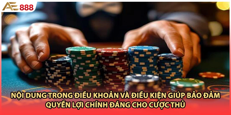 Nội dung trong điều khoản và điều kiện giúp bảo đảm quyền lợi chính đáng cho cược thủ
