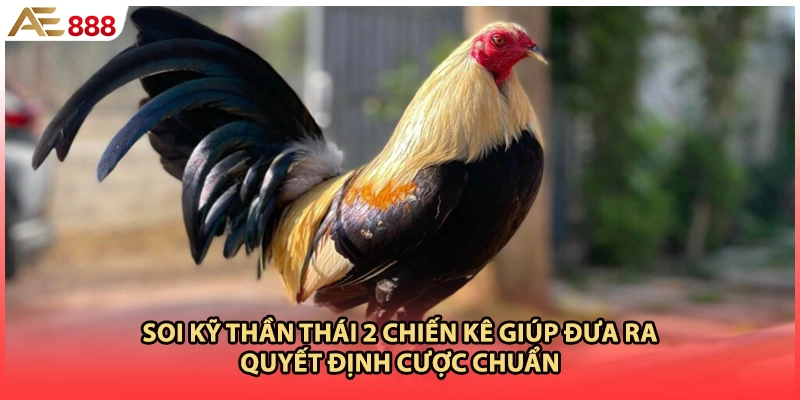 Soi kỹ thần thái 2 chiến kê giúp đưa ra quyết định cược chuẩn