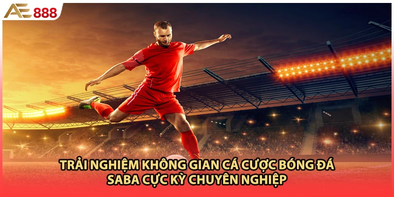 Trải nghiệm không gian cá cược bóng đá SABA cực kỳ chuyên nghiệp